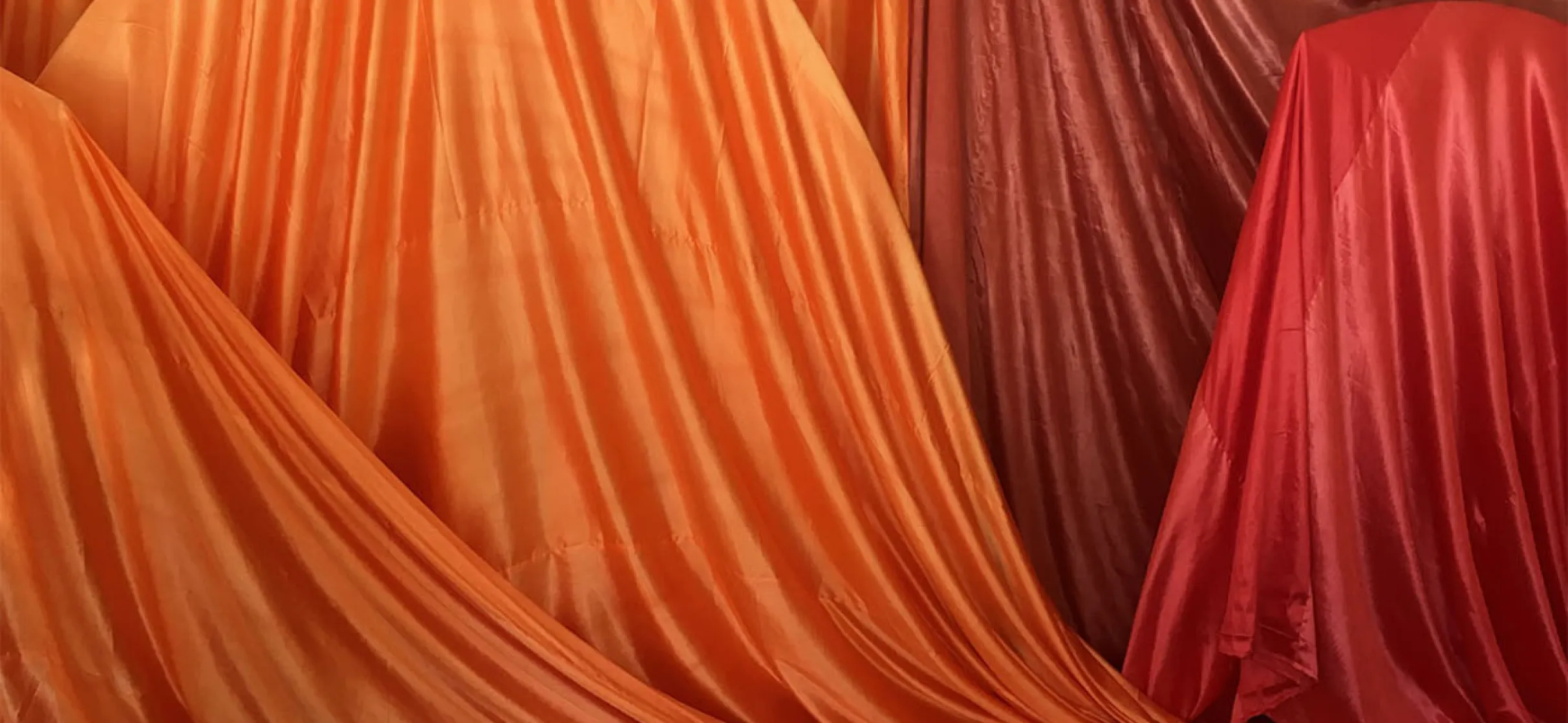 Ritual sacrifice Signe Becker