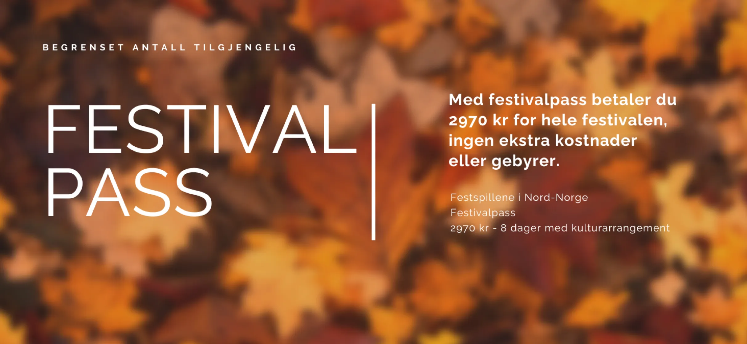 festivalpass annonse høst
